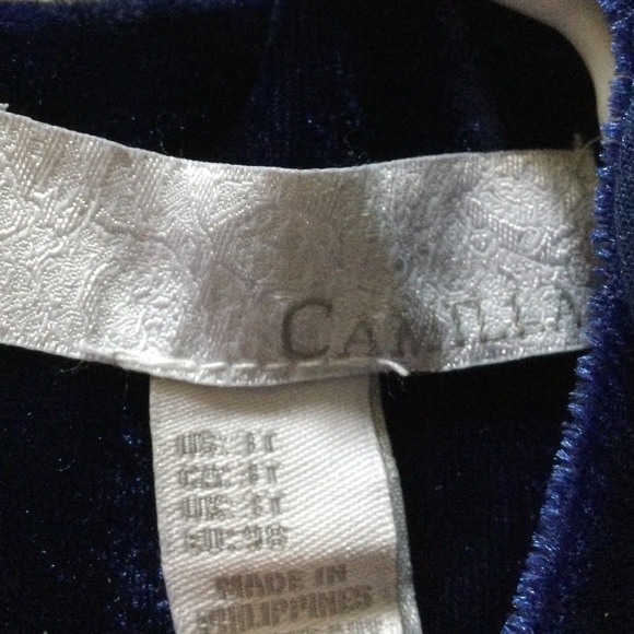 ✔️ Camilla Velvet Ruffle Sing Dress in Toddler Size 3 - Picture 5 of 5